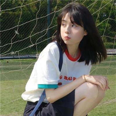 极地守护犬