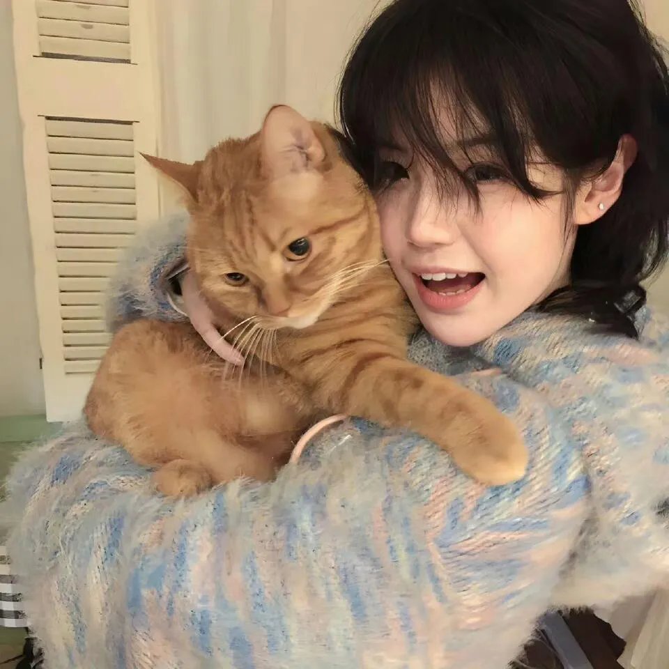 好莱坞巨猿